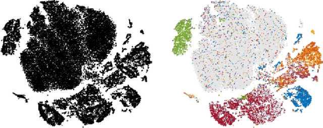 Figure 1 for Clustering with t-SNE, provably