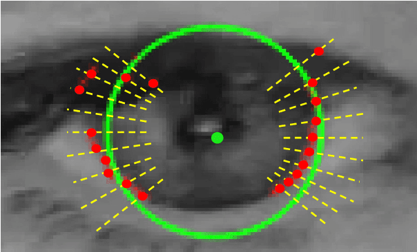 Figure 4 for Hybrid eye center localization using cascaded regression and hand-crafted model fitting