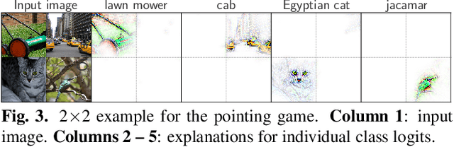 Figure 2 for B-cos Networks: Alignment is All We Need for Interpretability