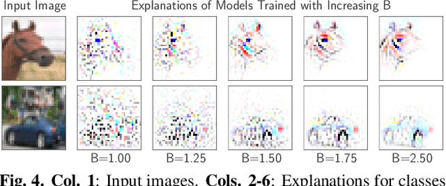 Figure 3 for B-cos Networks: Alignment is All We Need for Interpretability