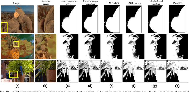 Figure 2 for Sparse Coding for Alpha Matting