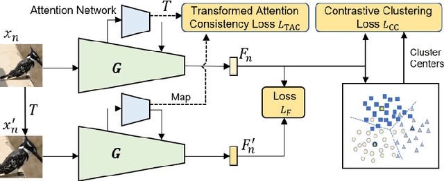 Figure 3 for Unsupervised Deep Metric Learning with Transformed Attention Consistency and Contrastive Clustering Loss