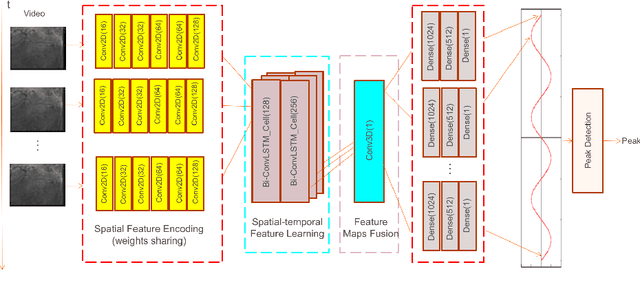 Figure 1 for Repetitive Motion Estimation Network: Recover cardiac and respiratory signal from thoracic imaging