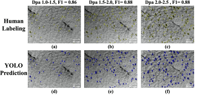 Figure 1 for A Deep Learning Based Automatic Defect Analysis Framework for In-situ TEM Ion Irradiations