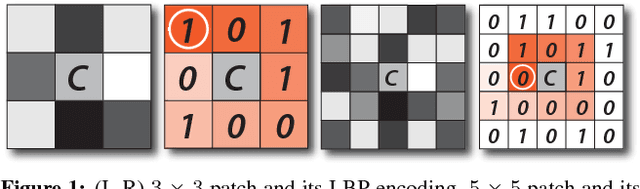 Figure 1 for Local Binary Convolutional Neural Networks