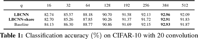 Figure 2 for Local Binary Convolutional Neural Networks