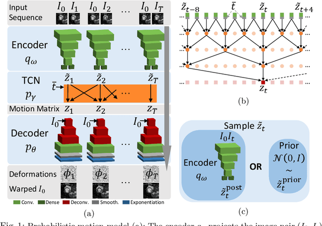 Figure 1 for Probabilistic Motion Modeling from Medical Image Sequences: Application to Cardiac Cine-MRI