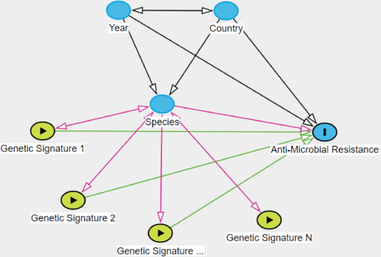 Figure 1 for Assessing putative bias in prediction of anti-microbial resistance from real-world genotyping data under explicit causal assumptions