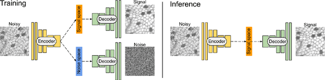 Figure 3 for WhiteNNer-Blind Image Denoising via Noise Whiteness Priors