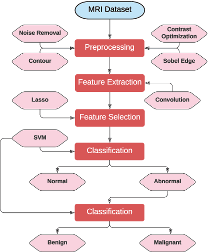 Figure 1 for Computational Intelligence Approach to Improve the Classification Accuracy of Brain Neoplasm in MRI Data