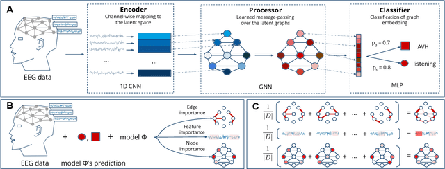 Figure 1 for Investigating Brain Connectivity with Graph Neural Networks and GNNExplainer
