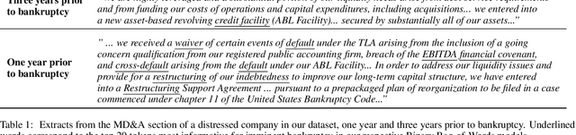 Figure 1 for Next-Year Bankruptcy Prediction from Textual Data: Benchmark and Baselines