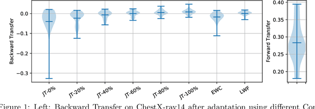 Figure 1 for Continual Learning for Domain Adaptation in Chest X-ray Classification