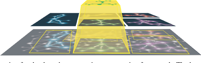 Figure 1 for Neural Consciousness Flow