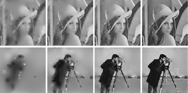 Figure 4 for A bio-inspired image coder with temporal scalability