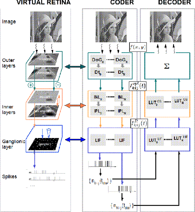 Figure 1 for A bio-inspired image coder with temporal scalability
