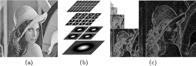 Figure 2 for A bio-inspired image coder with temporal scalability