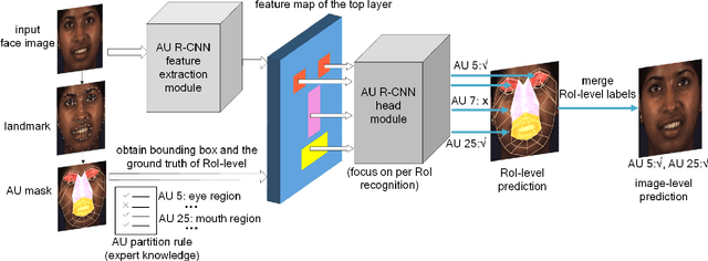 Figure 1 for AU R-CNN: Encoding Expert Prior Knowledge into R-CNN for Action Unit Detection