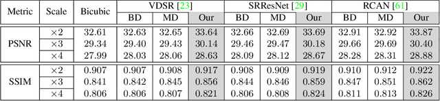 Figure 4 for Toward Real-World Single Image Super-Resolution: A New Benchmark and A New Model