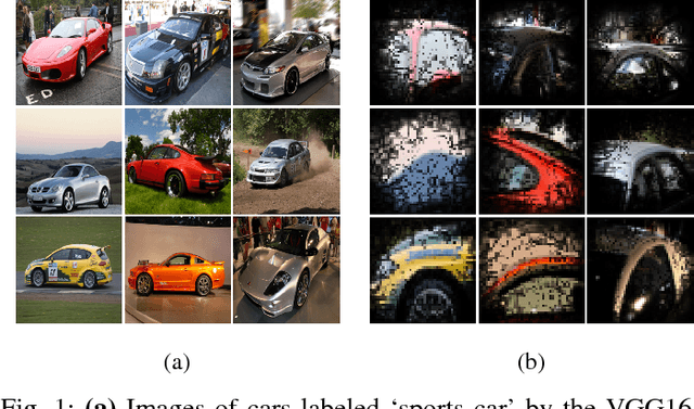 Figure 1 for Influence-Directed Explanations for Deep Convolutional Networks