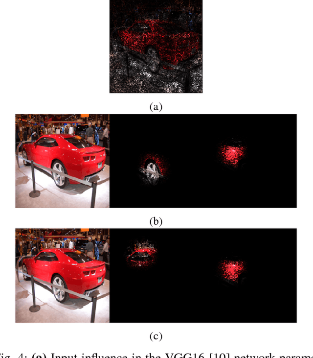 Figure 4 for Influence-Directed Explanations for Deep Convolutional Networks