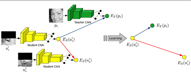 Figure 3 for Teacher-Student Training and Triplet Loss to Reduce the Effect of Drastic Face Occlusion