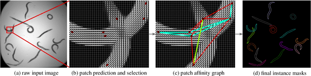 Figure 1 for PatchPerPix for Instance Segmentation