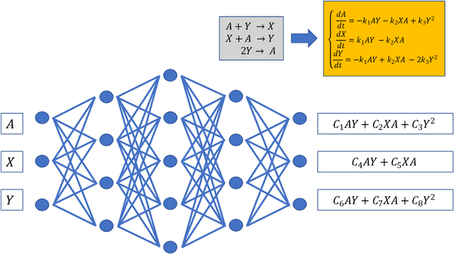 Figure 1 for Interpretable Polynomial Neural Ordinary Differential Equations