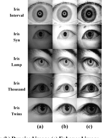 Figure 2 for SIP-SegNet: A Deep Convolutional Encoder-Decoder Network for Joint Semantic Segmentation and Extraction of Sclera, Iris and Pupil based on Periocular Region Suppression