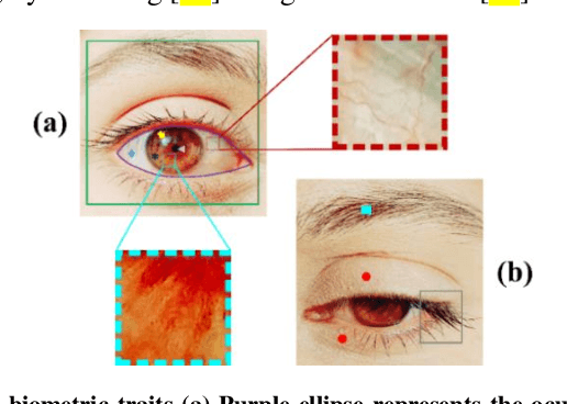 Figure 1 for SIP-SegNet: A Deep Convolutional Encoder-Decoder Network for Joint Semantic Segmentation and Extraction of Sclera, Iris and Pupil based on Periocular Region Suppression