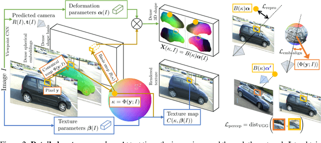 Figure 3 for Canonical 3D Deformer Maps: Unifying parametric and non-parametric methods for dense weakly-supervised category reconstruction