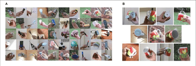 Figure 3 for Lifelong Learning of Spatiotemporal Representations with Dual-Memory Recurrent Self-Organization