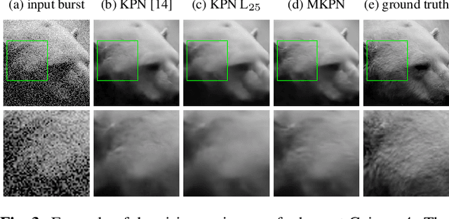 Figure 4 for Multi-Kernel Prediction Networks for Denoising of Burst Images