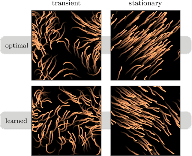 Figure 3 for Inverse Reinforcement Learning in Swarm Systems