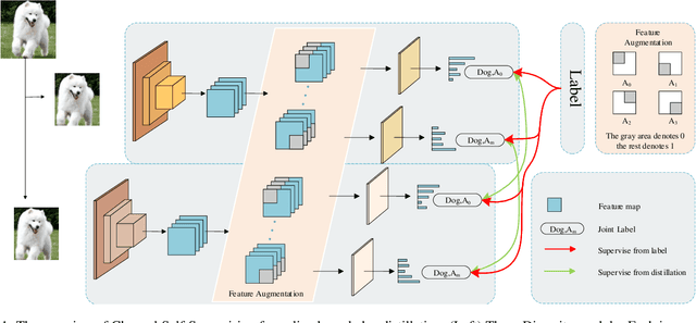 Figure 1 for Channel Self-Supervision for Online Knowledge Distillation