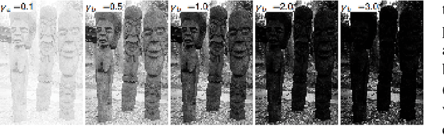 Figure 3 for Blind Inverse Gamma Correction with Maximized Differential Entropy