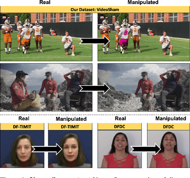 Figure 1 for Video Manipulations Beyond Faces: A Dataset with Human-Machine Analysis