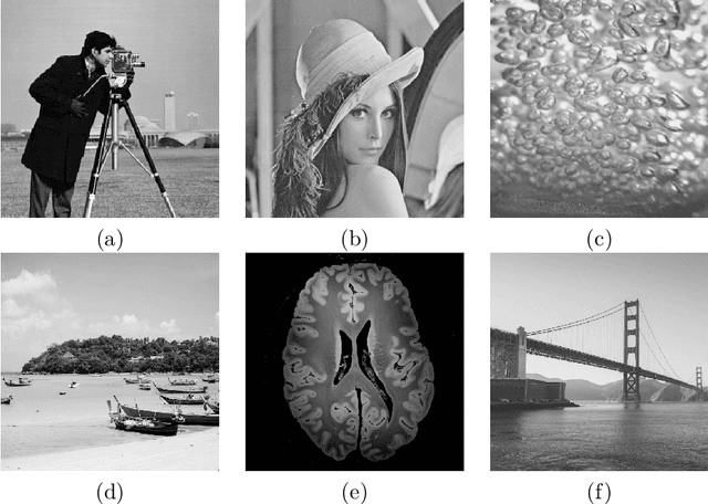 Figure 2 for A Preliminary Comparison Between Compressive Sampling and Anisotropic Mesh-based Image Representation