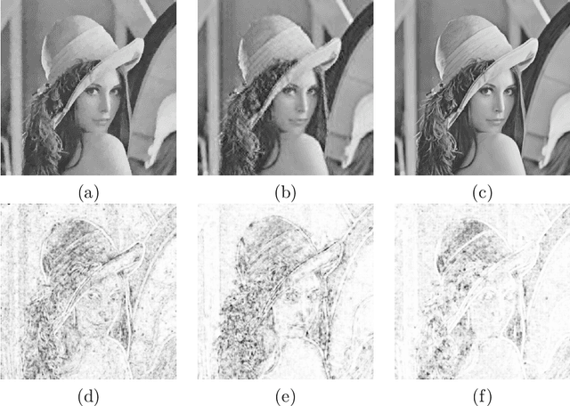 Figure 4 for A Preliminary Comparison Between Compressive Sampling and Anisotropic Mesh-based Image Representation