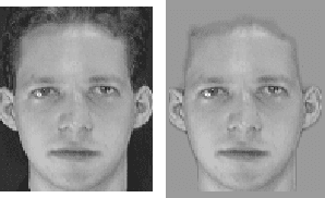 Figure 3 for Spoofing 2D Face Detection: Machines See People Who Aren't There