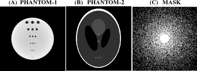 Figure 2 for Compressed Sensing Parallel MRI with Adaptive Shrinkage TV Regularization