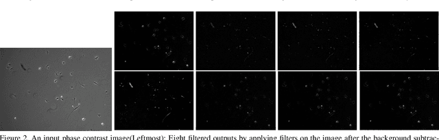 Figure 2 for An Efficient Approach for Cell Segmentation in Phase Contrast Microscopy Images