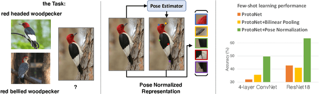 Figure 1 for Revisiting Pose-Normalization for Fine-Grained Few-Shot Recognition