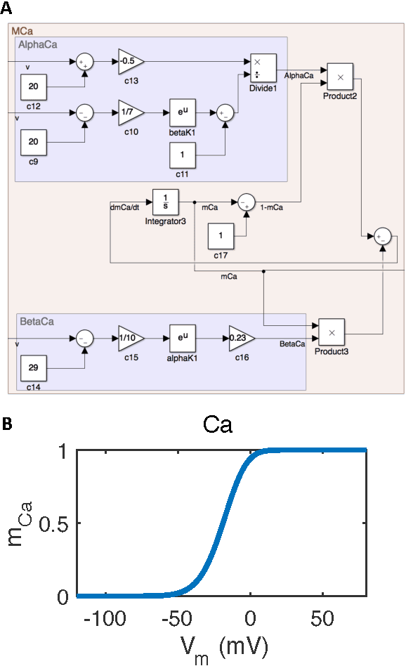 Figure 4 for SIM-CE: An Advanced Simulink Platform for Studying the Brain of Caenorhabditis elegans