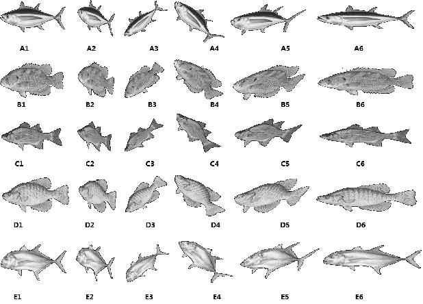 Figure 1 for A Kind of Affine Weighted Moment Invariants