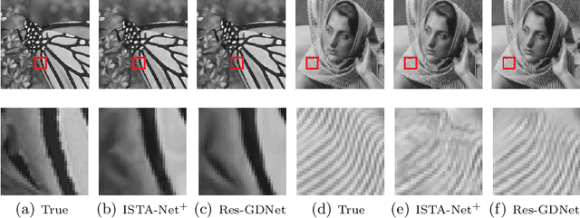 Figure 3 for A Novel Learnable Gradient Descent Type Algorithm for Non-convex Non-smooth Inverse Problems