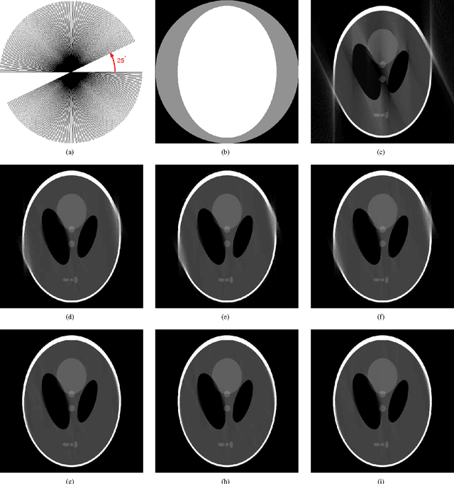 Figure 2 for Mask Iterative Hard Thresholding Algorithms for Sparse Image Reconstruction of Objects with Known Contour