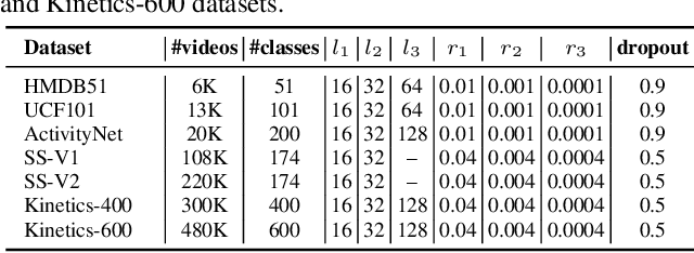 Figure 4 for Optimization Planning for 3D ConvNets