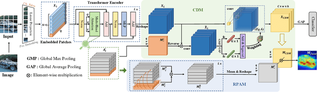 Figure 3 for LCTR: On Awakening the Local Continuity of Transformer for Weakly Supervised Object Localization