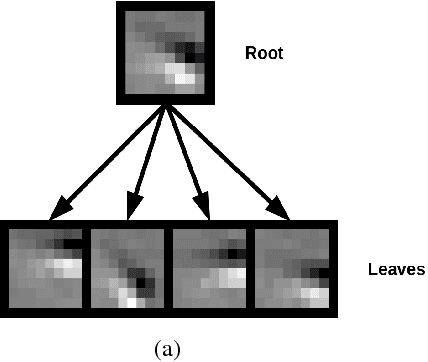 Figure 3 for Transformational Sparse Coding